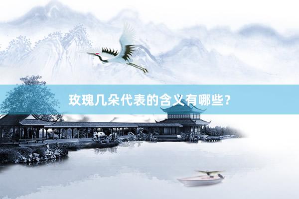 玫瑰几朵代表的含义有哪些？