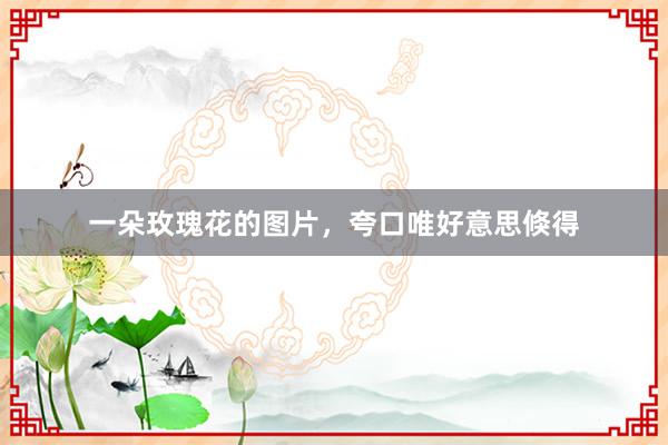 一朵玫瑰花的图片，夸口唯好意思倏得