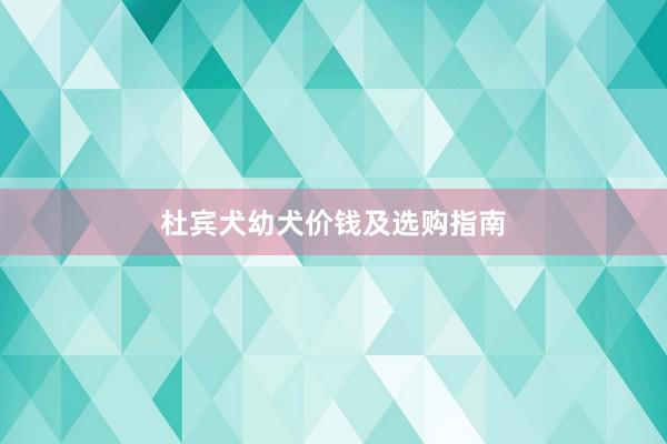 杜宾犬幼犬价钱及选购指南