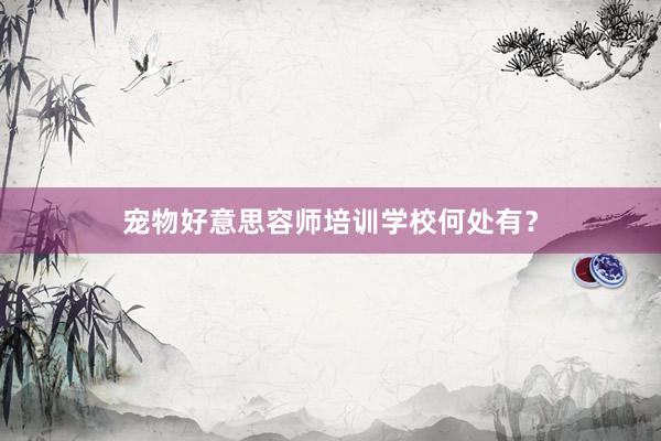 宠物好意思容师培训学校何处有？